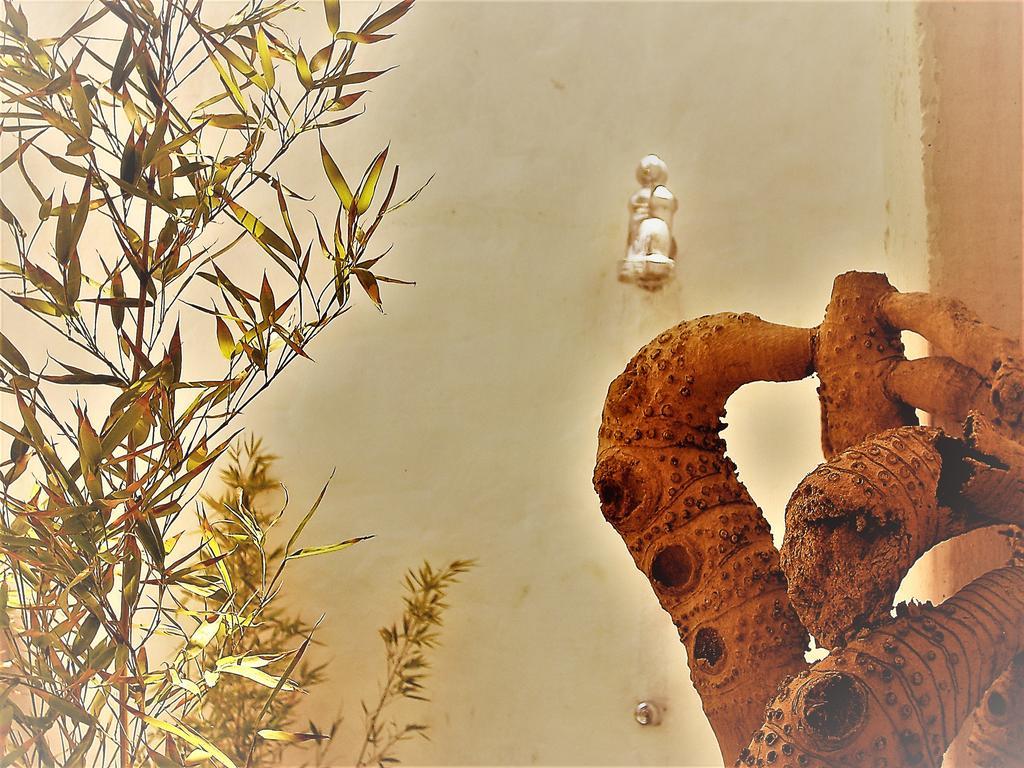 Hostal Palohe Taganga Buitenkant foto
